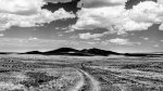 Desert Tracks, Sand, Mongolia, Infrared, B&W