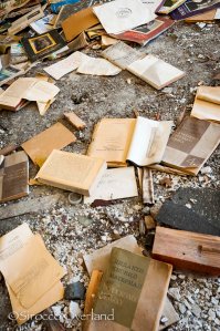 ghost town, abandoned city, siberia, russia, books, remains, possessions